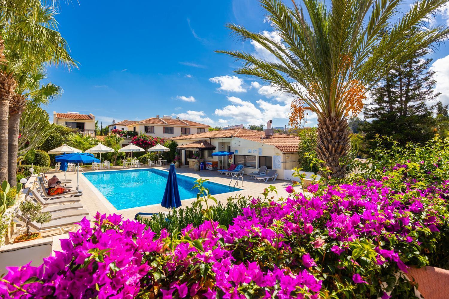Tavros Hotel Apartments Polis Camera foto