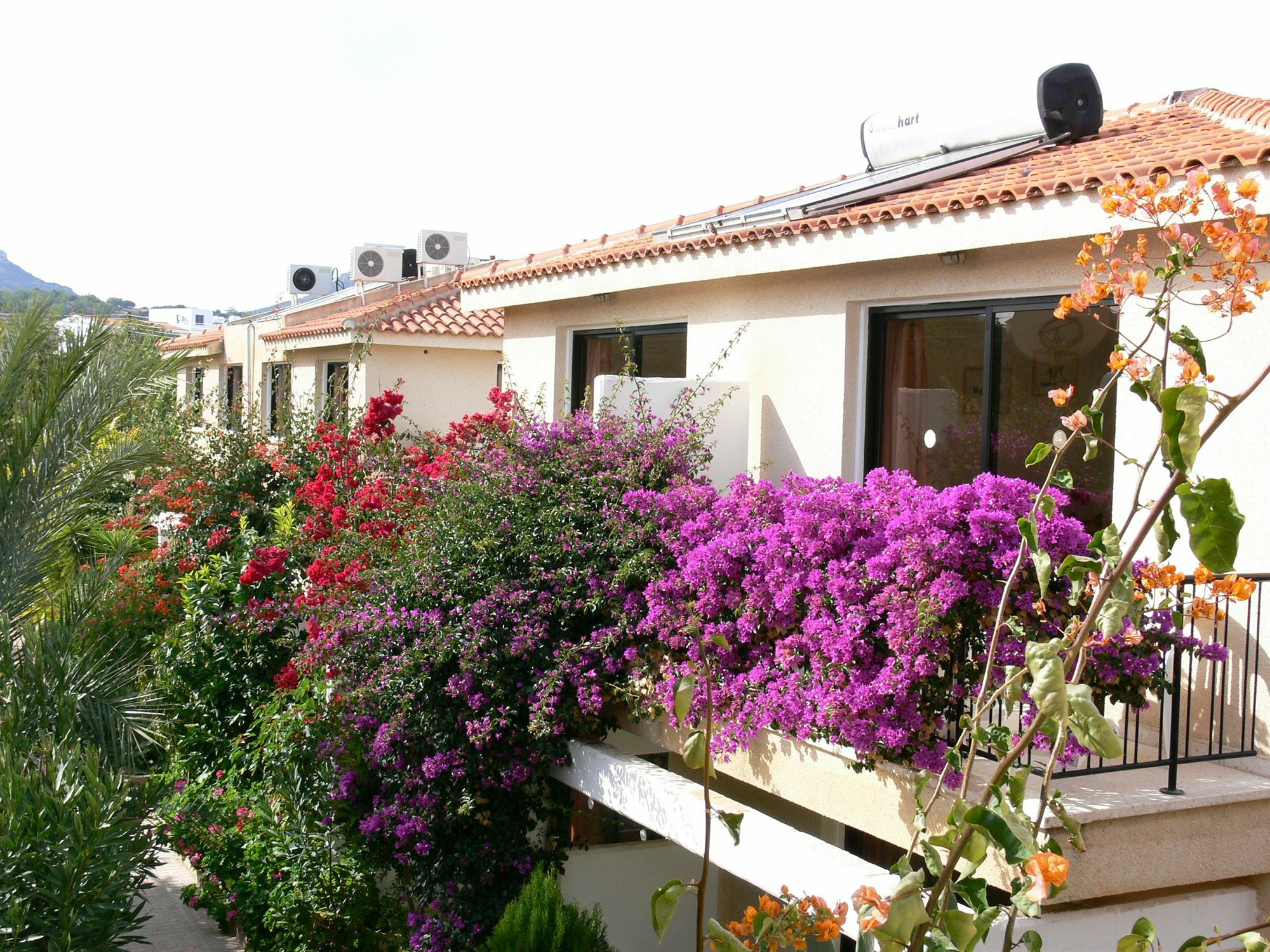 Tavros Hotel Apartments Polis Esterno foto